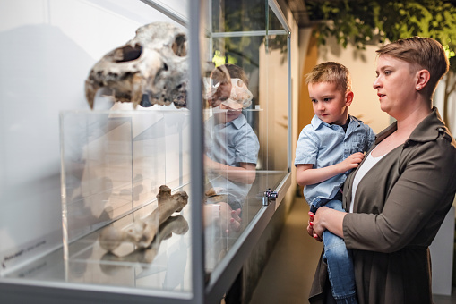 Curious little boy in his mothers arms looking at an animal skeleton in a bone display case at a natural history museum exhibition.