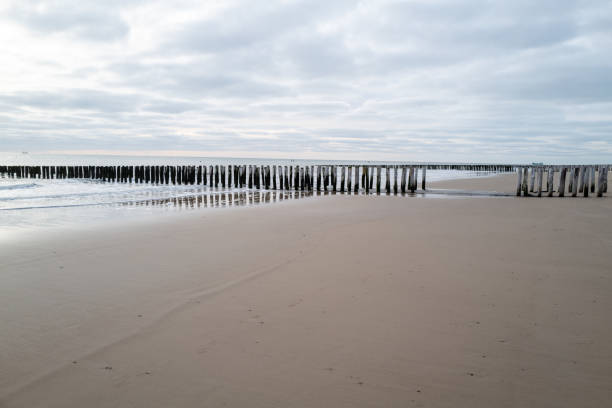 lonely beach with waves and sky in zeeland, the netherlands