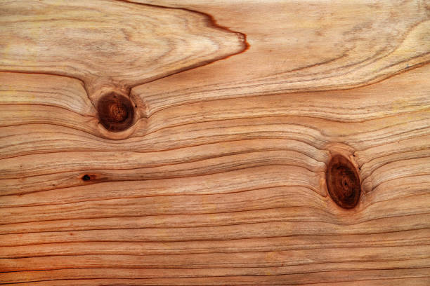 Abstract wood texture as background, macro view
