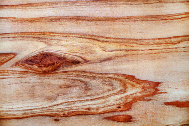 Abstract wood texture as background, macro view