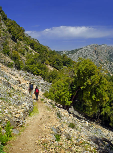 istock Gola Su Goroppu - Gorge in Sardinia, Italy. 2115133338