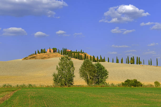 View of a hilly landscape in countryside, Val d'Orcia, Siena, Tuscany, Italy. Tuscan hills