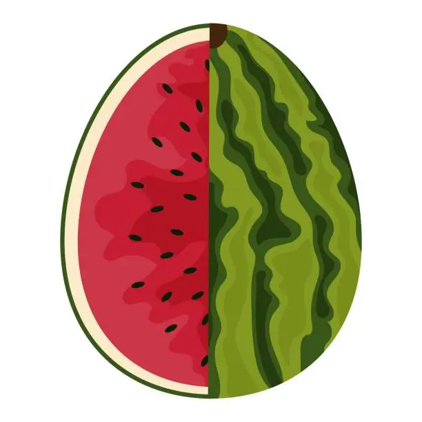 Vector illustration of easter egg watermelon