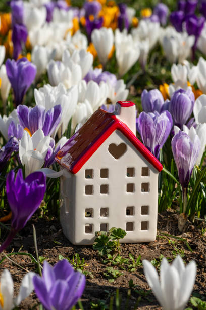istock Miniature ceramic house among blooming crocus flowers 2115151911