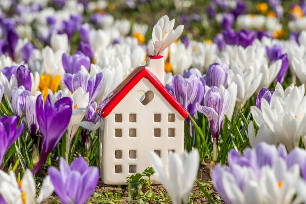 istock Miniature ceramic house among blooming crocus flowers 2115152424