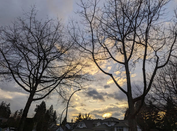 istock Winter Sunset in Metro Vancouver, Canada 2115247551