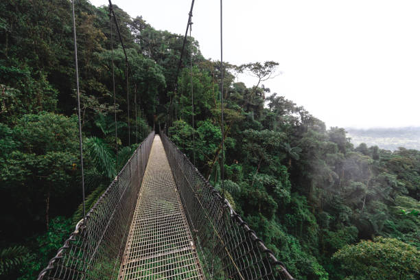 istock Arenal Walking Bridge, Costa Rica 2115256012