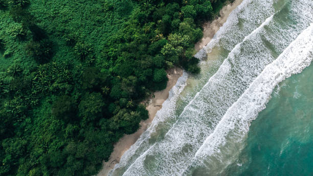 Cahuita - National Park with beautiful beaches and rainforest in Costa Rica, Drone view