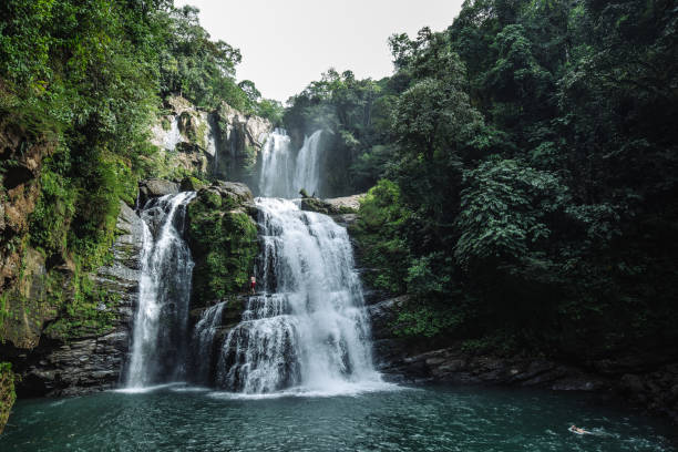 nauyuca waterfall in costa rica - cascata - fotografias e filmes do acervo