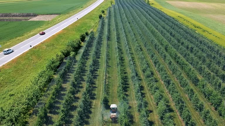 Drone Tracking Shot of Tractor Spraying Orchard Covered with Anti-Hail Netting in Springtime