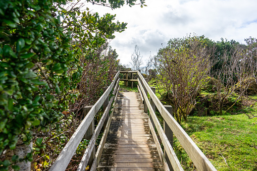 Wooden footbridge winding through sulfur fumaroles in Terceira Island's furnas, Azores.