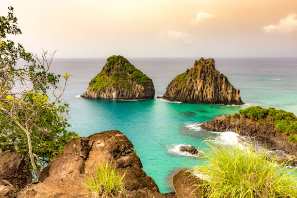Fernando de Noronha, Brazil. Website Banner
