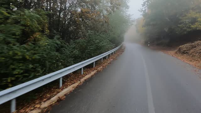 Driving along the road in the foggy forest. POV shot from a camera driving through empty dangerous ashaplt road in autumn