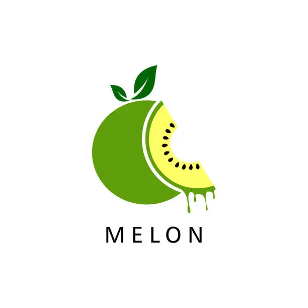 Vector illustration of melon fruit logo vector template illustration design