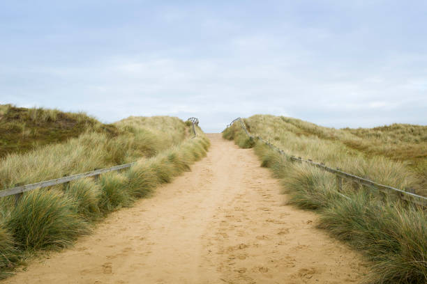 Foothpath between sand dunes with marram grass under a sky with clouds. Wangerland, Friesland, Lower Saxony, Germany