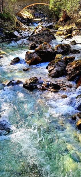 istock lake Hintersee Bavaria - Zauberwald 2115389106