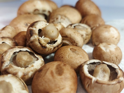 Champignons super healthy food product