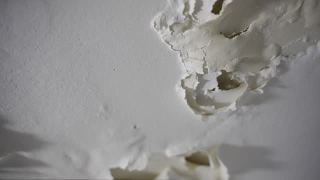 Peeling dry paint falling off wall or ceiling in bathroom or shower room in house or apartment. Close up - cracks of white paint falling apart in neglected place with moisture or humidity condensation