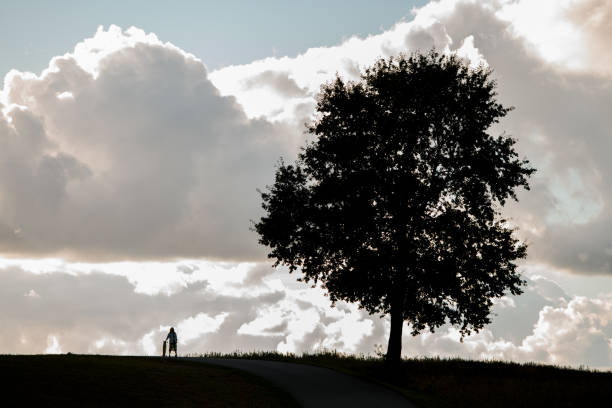 istock Girl leans on longboard near lone tree, fluffy clouds backdrop. 2115486712
