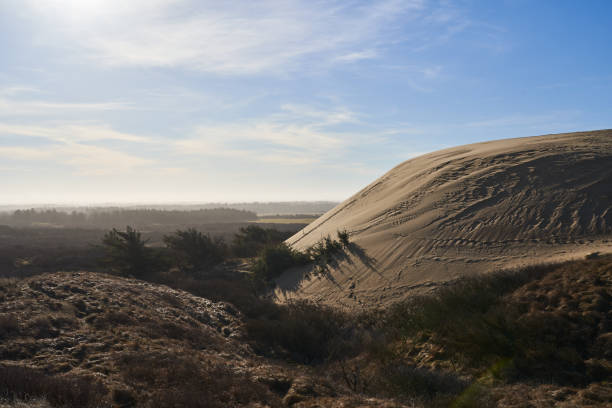 Beautiful view of mountain with plants and sandy hill against cloudy sky during sunny day at Lønstrup, Denmark