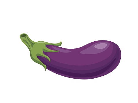 Eggplant in flat style on a white background