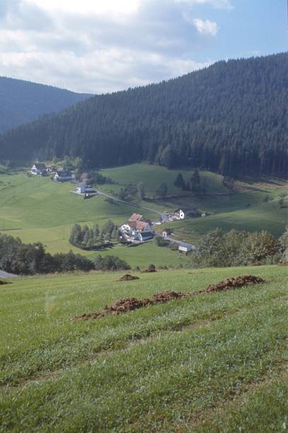 Drone photo of the Austrian Alps at golden hour in late summer featuring snowy mountain tops, green valleys and serene views of the local village houses with red roofs of the Kleinwalsertal district of Vorarlberg