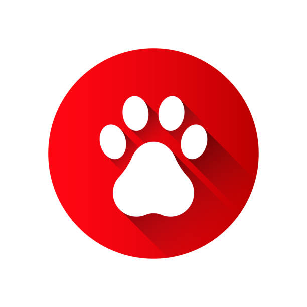ilustraciones, imágenes clip art, dibujos animados e iconos de stock de símbolo plano de una huella animal de un perro o gato en un círculo rojo. - paw print animal track dirt track