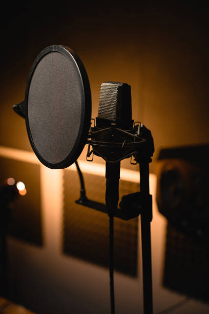 istock Close-up of a professional microphone with a pop filter in a recording studio 2115640275