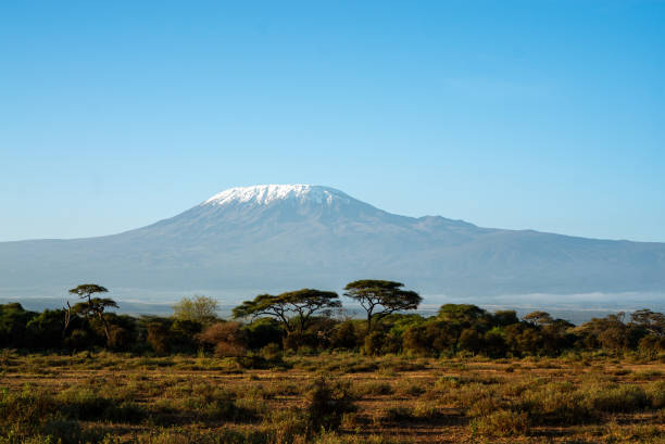 istock mount kilimanjaro in kenya from amboseli 2115643914