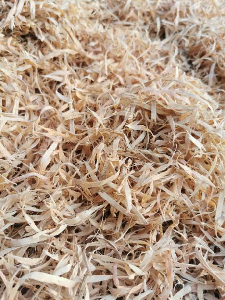 Sawdust, wood shaving for animal beddings. stock photo