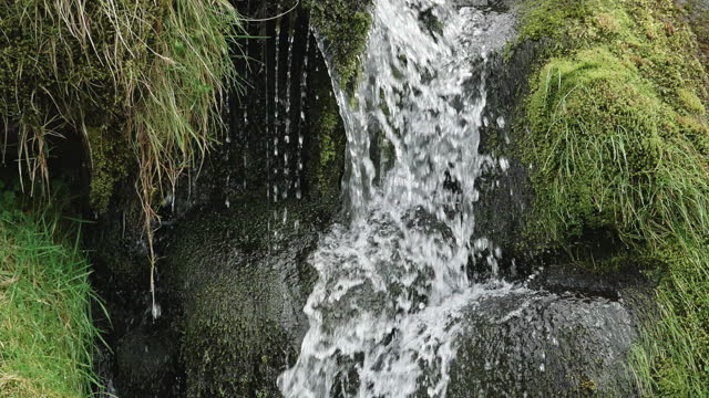 A small waterfall in a natural setting with moss and grass on the rocks. zoom in