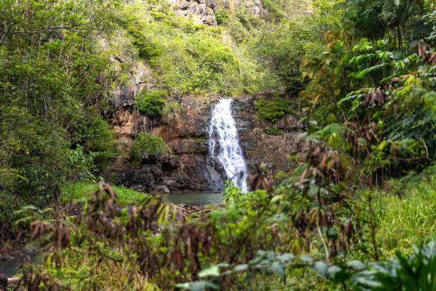 Waimea falls, in Waimea Valley, Oahu, Hawaii