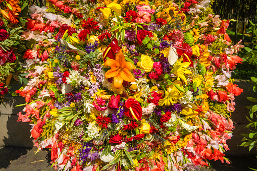 Commercial Silleta, flower fair in the city of Medellin - Colombia