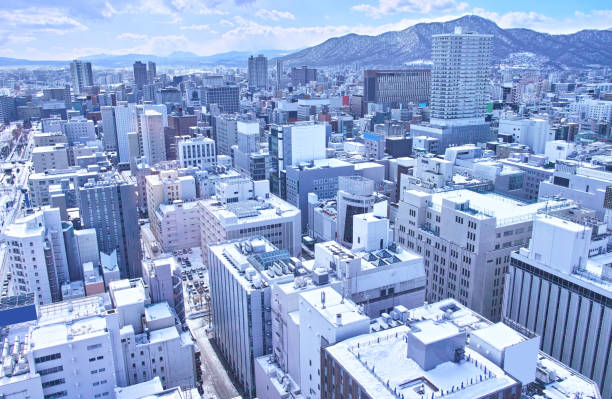 istock Sapporo, Hokkaido in winter 2115780386
