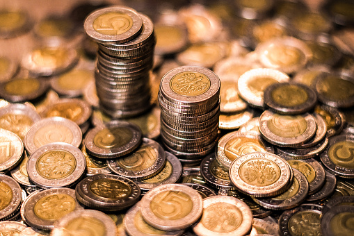 Polish coins. Making financial plans. Close up.