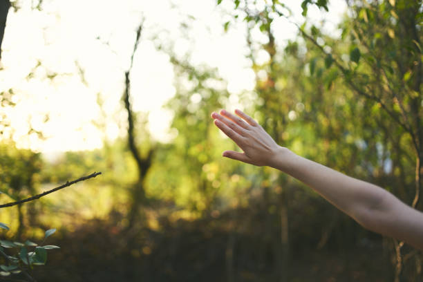 Adult and child touching fingers , close-up view with green grass as the background.