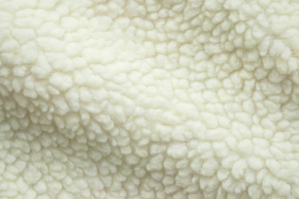 istock Wool plush fleece fur fabric texture background 2115850448