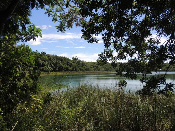 istock Tranquil Lake Scene: Serene Waters Surrounded by Trees and Tall Grass, Beneath a Clear Blue Sky 2115851021