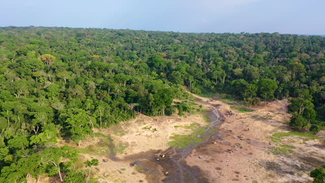 Aerial view of the famous Dzanga Bai clearing