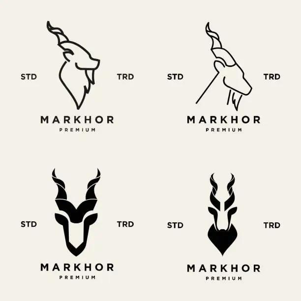 Vector illustration of Markhor head animal design inspiration