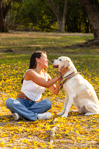 adult beautiful latin hispanic woman in white shirt and jean face to face with golden retriever dog in field of fallen yellow araguaney flowers during golden hour at summer