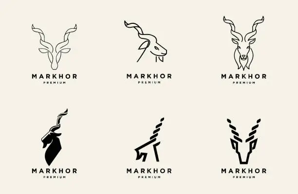 Vector illustration of Markhor head animal design inspiration