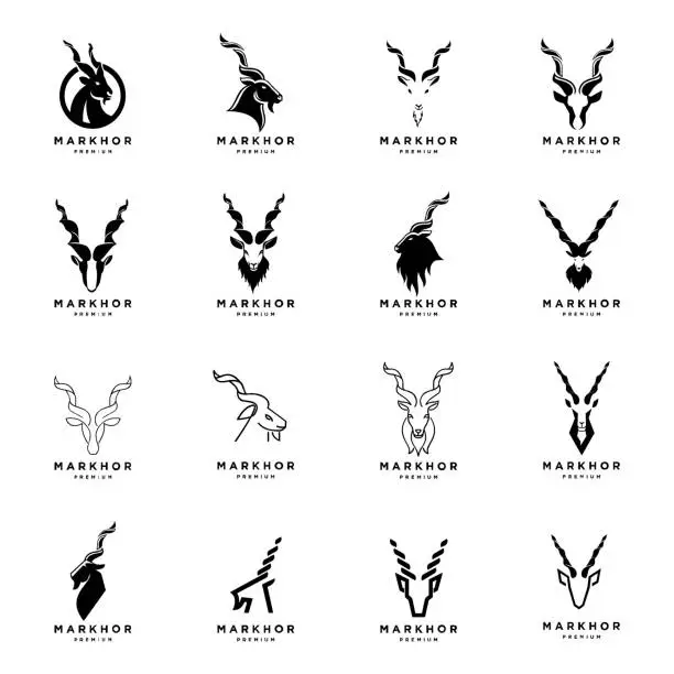 Vector illustration of Markhor head animal design inspiration