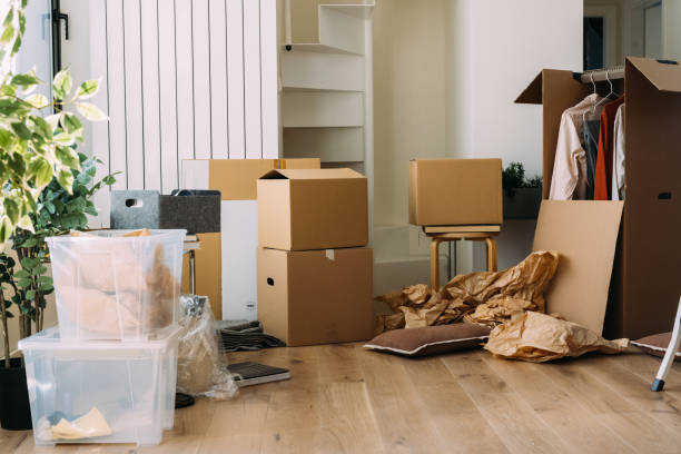 istock Moving Day Chaos with Open Boxes and Packed Items in New Home 2115959726