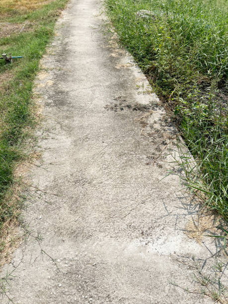 istock cement way in garden 2115970688