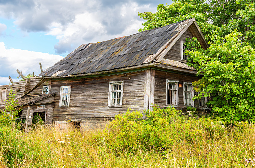 Old abandoned rural wooden house in russian village in a summer sunny day. Countryside landscape with abandoned wooden house