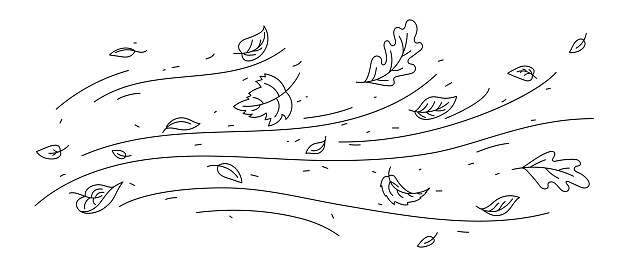 Wind air and doodle leaves motion, vector autumn nature and weather. Outline falling leaves flying on wave lines of blowing wind streams. Dry foliage of maple, oak and birch forest trees falling down