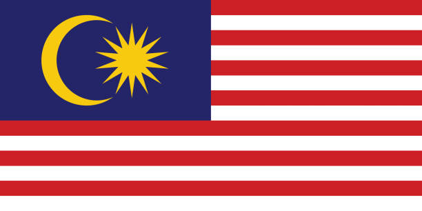 malaysia flag. flag icon. standard color. standard size. rectangular flag. computer illustration. digital illustration. vector illustration. - all asian currencies stock-grafiken, -clipart, -cartoons und -symbole