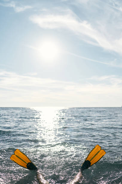 Pair of flippers on the legs sharpens from the sea. High quality photo