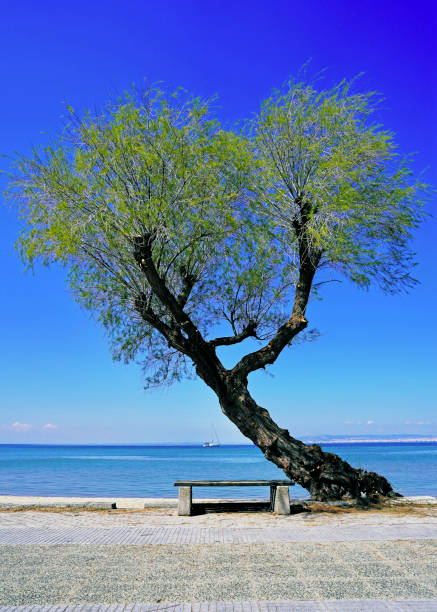 istock A perfect place to relax 2116147676